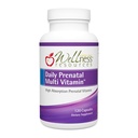 Wellness Resources Daily Prenatal Multi Vitamina - Methylated Folate Zinc Iron Bisglycinate Choline " Key Nutrients - Natural Prenatal Postpartum Vitaminas para Mujeres - 120 Caps