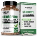 Benevolent Chlorophyll Capsules 350mg - 100% Natural + Ultra Chlorophyll 20x Potency Concentration for Energy Boost, Immune Support, Internal Deodorant, Skin Health, Non-GMO, 120 cápsulas