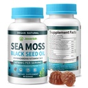 Vegan Ashwagandha Sea Moss Gummies - Aceite de semillas negras, vitamina C sensible para soporte inmunitario, digestivo, antioxidante 13 en 1 Bundle, Sea Moss Chlorophyll Advanced Strength Formula 2Pack 120 Gummies