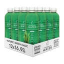 Chlorophyll Water – Liquid Chlorophyll 12-Pack (16.9oz) TENIDO Vitamina A, B12, C, D ANTERIED Detox Cleanse, Alkaline Water, Energy Boost TEN Vitamin Water TEN Plant-Based TEN Clean Label Project ANTE Hydration Support