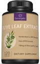 Extracto de hoja de oliva Premium Capsules – Estándarizado al 20% de Oleuropeina – Super Strength Olive Leaf Exact Supplement Supports Immune System &amp; Cardiovascular Health – 750mg Por cápsula – 120 cápsulas