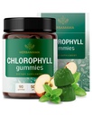 HERBAMAMA Chlorophyll Detox Gummies - 50mg Sodium Copper Clorophyllin Desodor interno para el soporte de olor corporal - Vegan, suplemento antioxidante no GMO - 90 pectinas de manzana con sabor a manzana