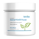 Polvo de potencia adrenal del Dr. Wilson 450 gramos