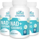 Liposomal NAD+ Suplemento 1000 mg TENIDO Pontecy más alto NAD soporta Max Absorption ← Suplemento puro NAD Energía y Reparación de ADN, Defensa del envejecimiento, Función cerebral