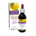 Naturalma Gran Mullein o Mullein Común (Verbascum thapsus) Flor y hoja Hidrocarburo Sin alcohol Tintura - 4 fl oz Extracto líquido en gotas - Suplemento Herbal - Vegan
