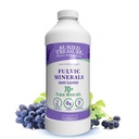 Treasure Fulvic Minerals Grape Flavored – Colloidal Minerals from Humic Fulvic Acid, Electrolytes from Trace Minerals for Recovery and Wellness Support. Añadir al agua – 32 Servimientos