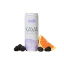 LEILO ← Kava Powered Sparkling Relaxation Drink ← BlackBerry Orange 12-Pack – No ALC Calming Beverage  12 fl oz Cans (Pack of 12)