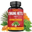 Extracto de Nettle Sting Capsules - 4in1 Combinado con Boswellia, Turmeric & Saw Palmetto - 150 Cuentas para 5 meses - Soportes Conjunto, Manejo del Cuerpo, Esquí, Pelo &amp; Inmunidad