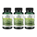 Mushroom Mane de Swanson Lion - Suplemento tradicional de Booster de Cerebro Hericium Erinaceus (60 cápsulas, 500 mg cada uno) 3 Pack