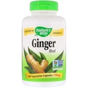 Camino de la Naturaleza Ginger Root 550 mg, Capsules 180ea