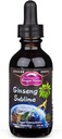 Dragon Herbs Ginseng Sublime Drops  All Natural Extract Supplement to Support Energy, Stress, Focus, Skin, Endurance, Lungs, Immune Health ← American, Red, and White Ginseng confidencialidad 2 fl. oz