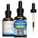 Bienestar de mascotas Jóvenes en el corazón para gatos - Vet-Formulated - Salud del corazón, Sistema circulatorio " Cardiovascular, Hawthorn, Motherwort, Schisandra - Suplemento herbal 2 oz (59 ml)