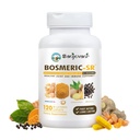 Suplemento de soporte conjunto de inmuno, Curcumina de Turmérico Patented Blend C3 Complejo con Pepper Negro, Extracto de Boswellia PS &amp; jengibre, Activo rápido 20 minutos, 8-Hour Sustained Release, 120 Caplets - Sanjevani