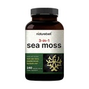 Irlandés Moss Capsules, 3000mg Por Serving, 240 Veggie Pills ← Hecho con Orgánica Raw Powder, Plus Fledderwrack & Burdock Root, Sea Vegetable Complex – Immune & Thyroid Superfood Support – Non-GMO