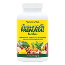 Natures Plus Fuente de Vida Prenatal - 800 mcg Folate, 90 Tablas Vegetarianas - Todas Vitaminas Prenatales Naturales con Hierro &amp; Calcio - Salud Optimal & Energy - Gluten-Free - 45 Servimientos