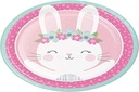 Suministros de fiesta de conversión creativa, Placas de papel de fiesta de conejo, Cena de placas, Multicolor, 8.75", 8ct