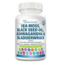Moss de mar para perros 750mg Aceite de semilla negra 500mg Ashwagandha 250mg Turmeric 250mg Bladderwrack 250mg Dandelion 250mg &amp; Vitamina C Vitamina D3 con manuka de arándanos amarillo Dock 90 Tablets