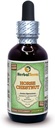 Castaña de Caballo (Aesculus Hippocastanum) Glycerite, Nueces orgánicas secas Alcohol-FREE Líquido Extracto (Nombre de la marca: HerbalTerra, Proudly made in USA) 2 fl.oz (60 ml)