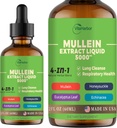 4-in-1 Mullein Drops for Lungs, Organic Mullein Leaf & Honeysuckle &amp; Eucalyptus Leaf &amp; Echinacea Extracts, for Lung Cleanse, Immune &amp; Respiratory Support, Sugar-Free ← Non-GMO Silencio Vegan, 2 Fl oz