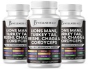 Lions Mane Suplemento Cognitive Support, Immune Health with Turkey Tail 20in1 Mushroom Reishi Cordyceps Chaga with Marshmallow Root -180 Count