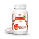 Gama Mastica Premium Capsules - Gastrointestinal Natural Suplemento de Soporte, 1000mg Por Serving - 120 cápsulas (1 botella)