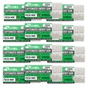 LyvWel Energy Gum TENIDO 100mg Caffeine per gem TEN TODO Natural TENIDO Sugar-Free Pre-Workout Boost: Your Essential Energy Supplement to Stay Awake- Carton 12 pack (Mint- 12 pack)