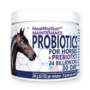 Probióticos saludables para caballos Suplemento dietético, Sistema Digestivo todo natural Fórmula (30 días)