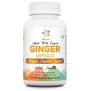 Organic Aura Ginger Capsules - 120 Veg Capsules. 2 Month Supply. Naturalmente aumenta la digestión, aumenta el estómago y mejora la inmunidad. No hay GMO y Gluten Free.