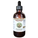 Senega Snakeroot Alcohol-Free Liquid Extract, Senega Snakeroot (Polygala Senega) Dried Root Glycerite Natural Herbal Supplement, Hawaii Pharm, USA 2 fl.oz