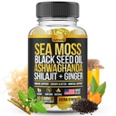 Sea Moss, Black Seed Oil, Ashwagandha, Ginger, Shilajit Gummies with Elderberry, Chlorophyll, Turmeric Bladderwrack Sea Moss Advanced Strength Formula - All in 1 Bundle - USA Made (60 Gummies)
