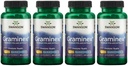 Swanson Extracto de Graminex de máxima resistencia - Apoyo a la salud de próstata, la función del tracto urinario y la salud del riñón - Mens Health Supplement - (60 cápsulas, 500 mg cada uno) (4 paquete)