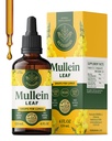HERBAMAMA Mullein Drops for Lungs - Vegan Lung Cleanse with Mullein Leaf Extract, Echinacea Tincture & Licorice - Non-GMO, Alcohol &amp; Sugar-Free Respiratory Support Supplement - 56-Day Supply