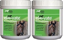 Kentucky Performance Productos 2 Pack of Elevate Maintenance Power, 2 libras cada una, Vitamina Natural E Horse Supplement