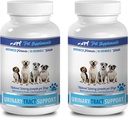 perros incontinencia química - DOG URINARY TRACT SUPPORT - NATURAL CRANBERRY SOLUTION - BLADDER HEALTH - VET RECOMENDADO - extracto de arándanos para perros - 2 Botella (180 Treats)