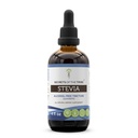 Secretos de la Tribe Stevia Tintura sin alcohol (Glicita) 653 mg Hecho con Stevia (Stevia Rebaudiana) Hoja seca (4 Fl Oz) Suplemento de azúcar en sangre