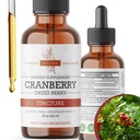 Tintura de arándano - Extracto de arándano orgánico líquido, alcohol - Suplemento herbal gratis - Hecho en EE.UU.