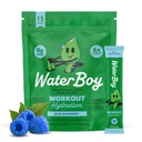 Waterboy Workout Hydration  2,960mg Sugar Free Electrolyte Powder Packets ← L-Glutamine + Vitaminas ← No Sugar, All Natural, Gluten Free ← 15 Drink Stick Mixes (Blue Raspberry)