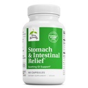 Terry Naturalmente Stomach " Alivio intestinal - Suplemento de Ayuda Digestivo Salud " Intestinal Lining - Ayudas contra el estrés ocasional Digestivo a Soothe Stomach - 60 cápsulas