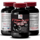 Fórmula de apoyo a la resistencia - TRIBULUS TERRESTRIS EXTRACT - Recarga de energía, soporte de energía Blend, fuerza física, energía potenciada por plantas, Fórmula de apoyo corporal, fuerza y potencia, fuerza activa 1Bot 90Tab