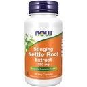 AHORA Suplementos de alimentos, Extracto de raíz de nettle Stinging (Urtica dioica) 250 mg, apoya la salud de la próstata*, 90 cápsulas de verduras