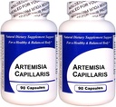 Artemisia Capillaris (90 cápsulas)-Extracto herbal centrado - Suplemento dietético - 2 Pack