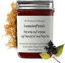 Dr. Sebi Inspired Alkaline Organic Fresh Elderberry Ginger Sea Moss Gel - Natural Essential Vitamins, Minerals Plus Antioxidantes Wild Harvested from Saint Lucia (8 oz.)