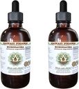 Echinacea Extracto líquido libre de alcohol, Echinacea (Echinacea Angustifolia) Ratón seco Glycerite Hawaii Pharm Natural Herbal Suplemento 2x4 oz