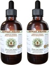 American Ginseng Alcohol-Free Liquid Extract, Ginseng (Panax Quinquefolius) Dried Root Glycerite Hawaii Pharm Natural Herbal Suplemento 2x4 oz