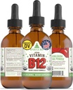 RawGuru Vitamina B12 Liquid Supplement - Organic Vegan Liquid B12 with Trace Minerals - Nano-Proceso Antioxidante &amp; Immune Support Suplemento Tintura - 60 Servimientos de gotas Veganas por 60 ml, Pack de 1