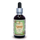 Herbal Terra LLC Stinging Nettle (Urtica Dioica) Glicérite, Hojas orgánicas secas Extracto líquido libre de alcohol 2 oz