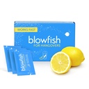 Blowfish for Hangovers - Fast Hangover Relief in 15 Minutes peru Headache Relief, Energy, and Hydration in One Step ← Single Box