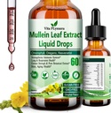 Mullein Drops for Lungs, Orgánica Mullein Leaf Extract for Lung Detox w. Chlorophyll Elderberry Oregano Oil Resveratrol Mullein Tincture Alcohol Free, Original Flavor, 2 f Fl/Oz