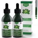 Chlorophyll Liquid Drops - 100% Natural Energy Booster and Immune Support - Interna Deodorant y Detox - Alivio de la enfermedad de Altitud - Absorción rápida, Vegan & No GMO - 120 Servings (Pack of 2)