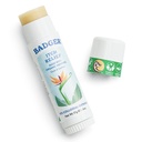 Badger Bug Bite Itch Relief Stick, Natural &amp; Organic Anti Itch Cream for Bug Bites, Rashes & Poison Ivy, Fast Itchy Skin Relief After Bite, Works Great, Smells Great, Easy to Use, .6 oz